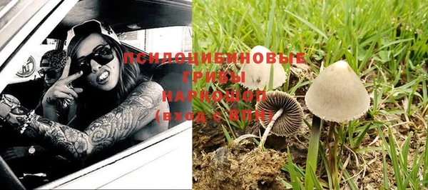 мдпв Липки