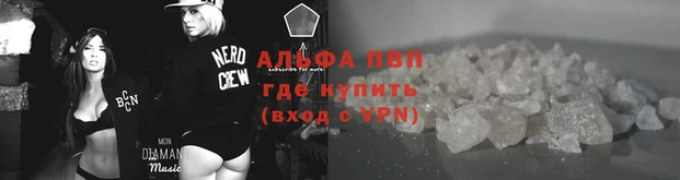 ПСИЛОЦИБИНОВЫЕ ГРИБЫ Лихославль