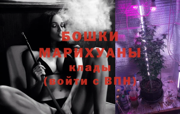 спиды Лиски