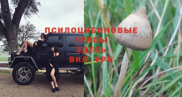 спиды Лиски