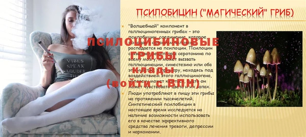 ПСИЛОЦИБИНОВЫЕ ГРИБЫ Лихославль