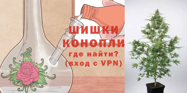 мдпв Липки