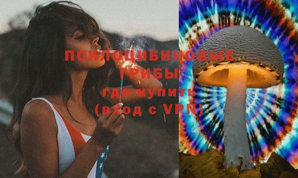 мдпв Липки