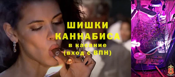 ПСИЛОЦИБИНОВЫЕ ГРИБЫ Лихославль