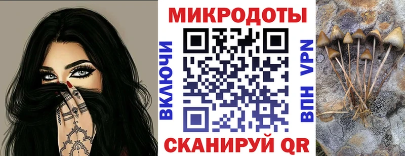 Галлюциногенные грибы Cubensis Красково